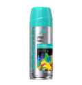 SPRAY PAINT